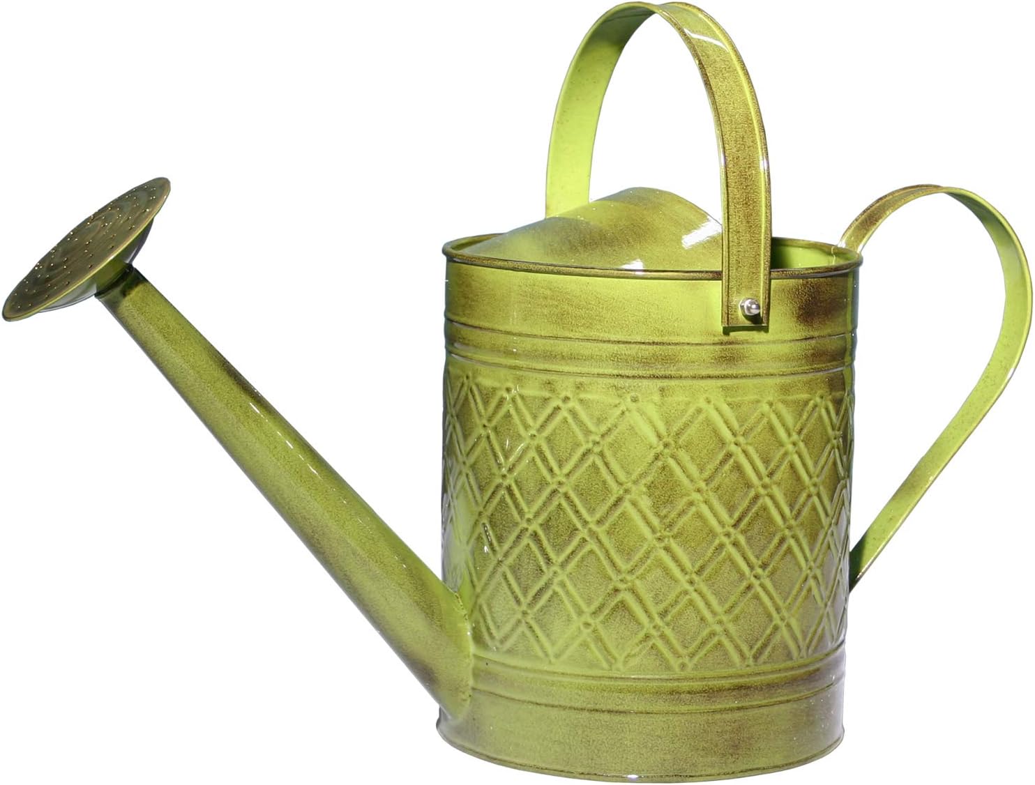 Robert Allen Wexley Metal Watering Can