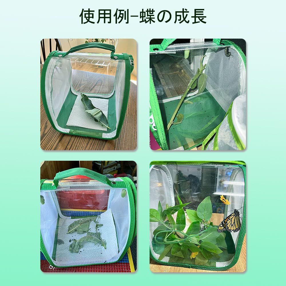 中国アンティーク　七宝ミニ虫籠　吊るしカゴ　スクエア　スライド開閉 中国アンティーク 七宝ミニ虫籠 吊るしカゴ スクエア スライド開閉