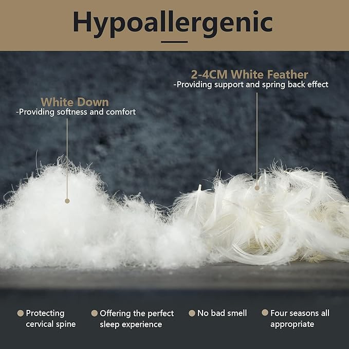 Set 2 Almohadas Pluma y Plumón Blanco Standard miniatura 5