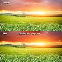 Vista 18 de SIOTI Kit de filtro cuadrado de 4 x 6 pulgadas (3.937 x 5.906 in) con ND2 y ND4 y ND8 y ND16 para Cokin Z Lee Hitech SIOTI Holder (ND)