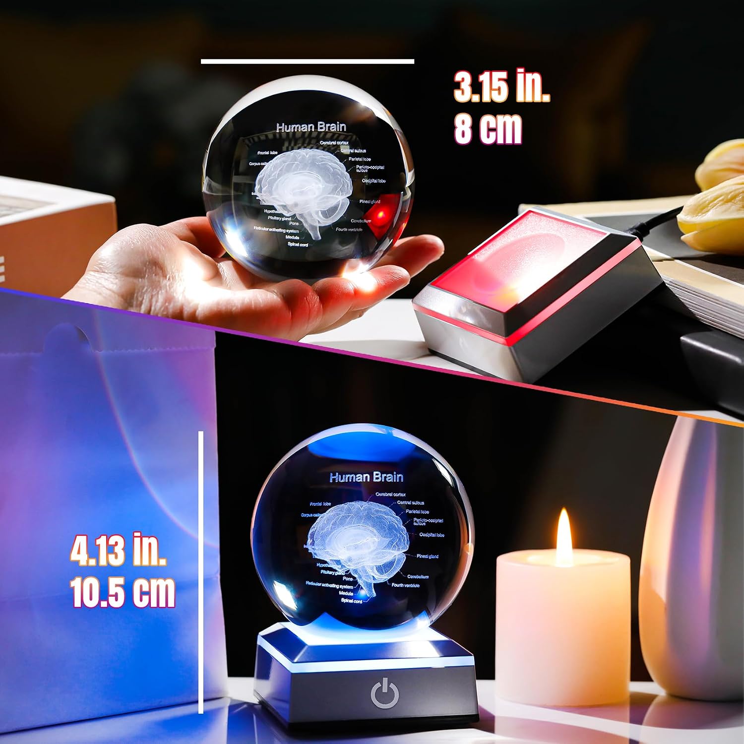 3D Human Brain 3.15 in. Crystal Ball Doctor Psychology Graduation Gifts for Him Her, Etched Anatomy Model Neurology with LED Light Base for Pharmacist Paramedic