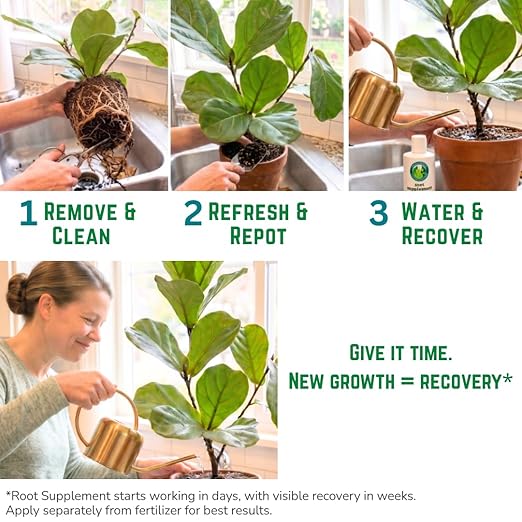 Reparador de Raíces para Plantas de Interior - Suplemento Líquido 8 oz miniatura 5