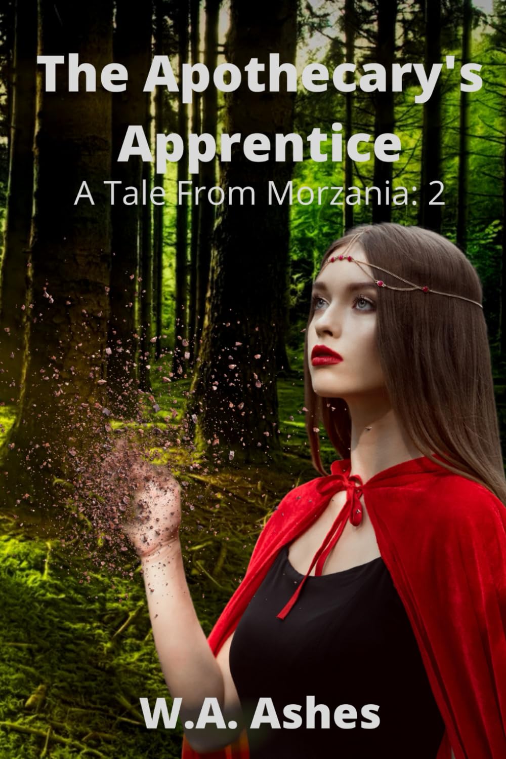 The Apothecary's Apprentice: A Tale From Morzania (Tales from Morzania)