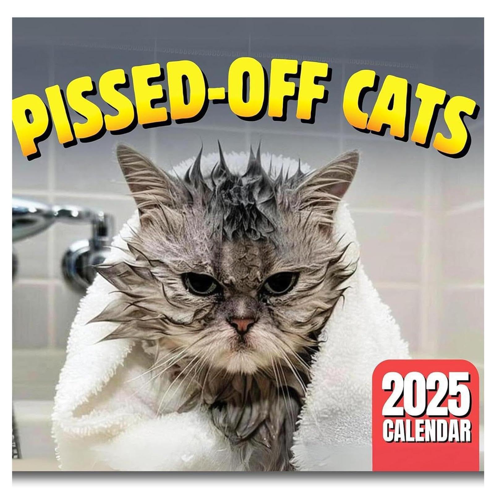 Pissed Off Cat 2025 Calendar, grump-y Cat 2025 Wall Calendar,Funny Cat Wall Calendar 2025,12 Month Calendar Month To View Funny Animal Calendar 2025,Creative Cat Calendar 2025, Giftss For Cat Lovers