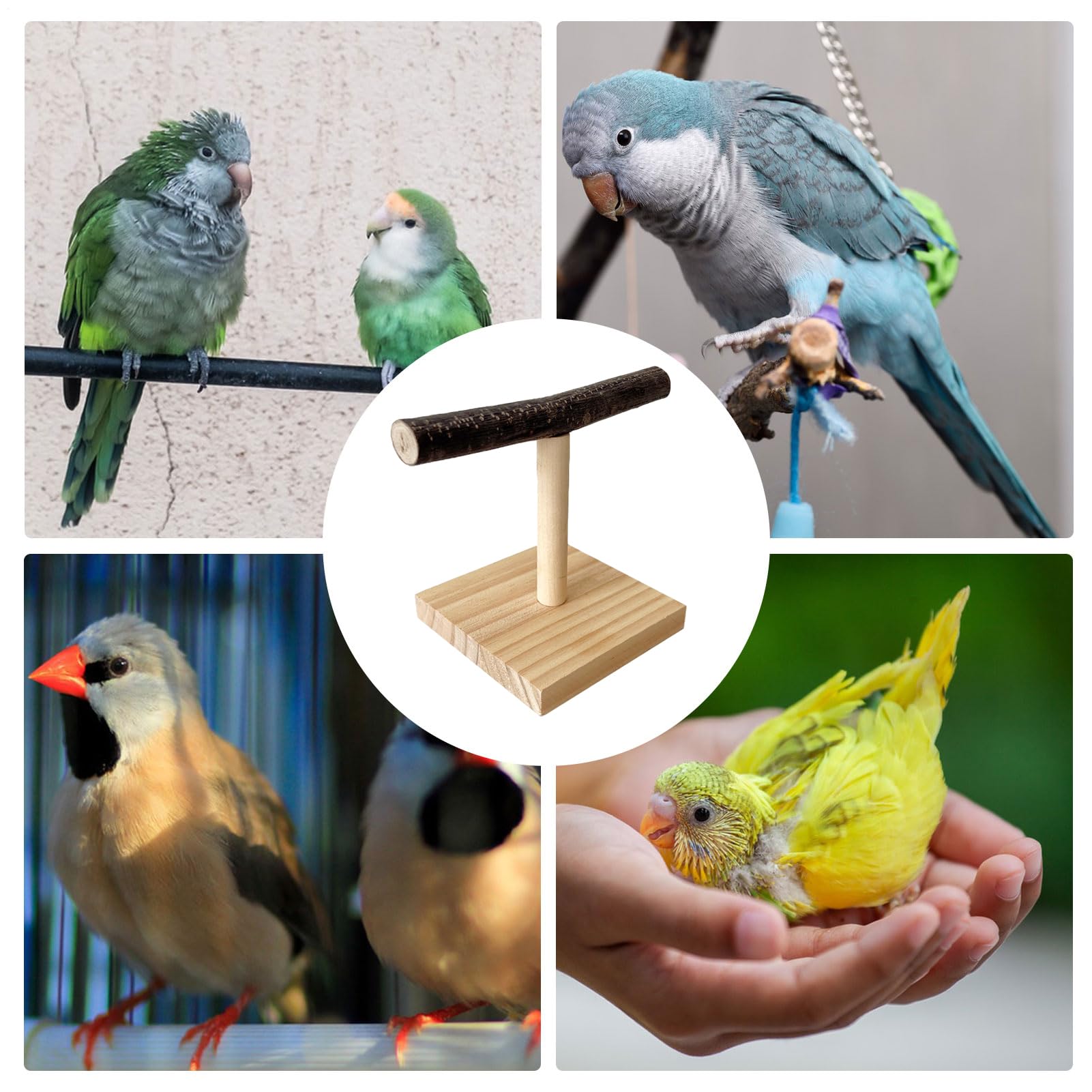 Generisch Trainingsständer für Vogelsitzstangen – Tischplattform für aus Holz, Ruhestation aus Naturholz, praktische Sitzstangenlösung | Robustes Käfigzubehör, Spielplatz für , Wellensittiche