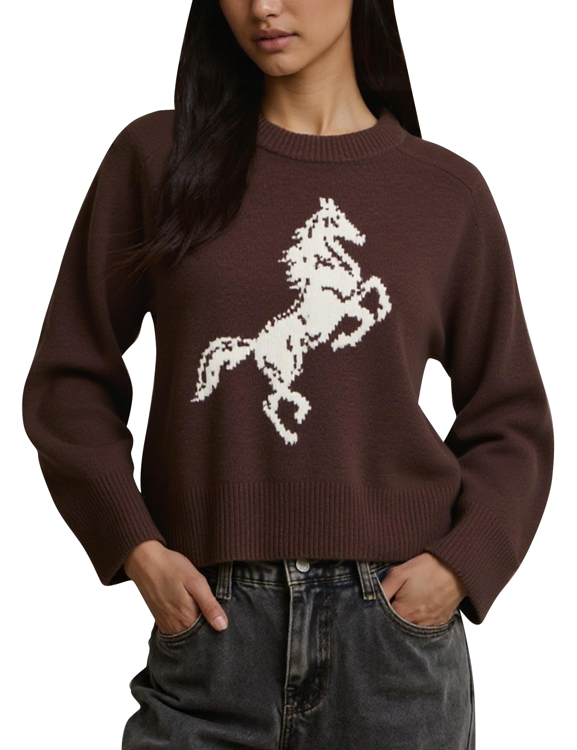 Graphic Sweater for Women Cute Horse Print Long Sleeve Crewneck Knit Pullover Jumper Casual Trendy Fall Sweater 2026