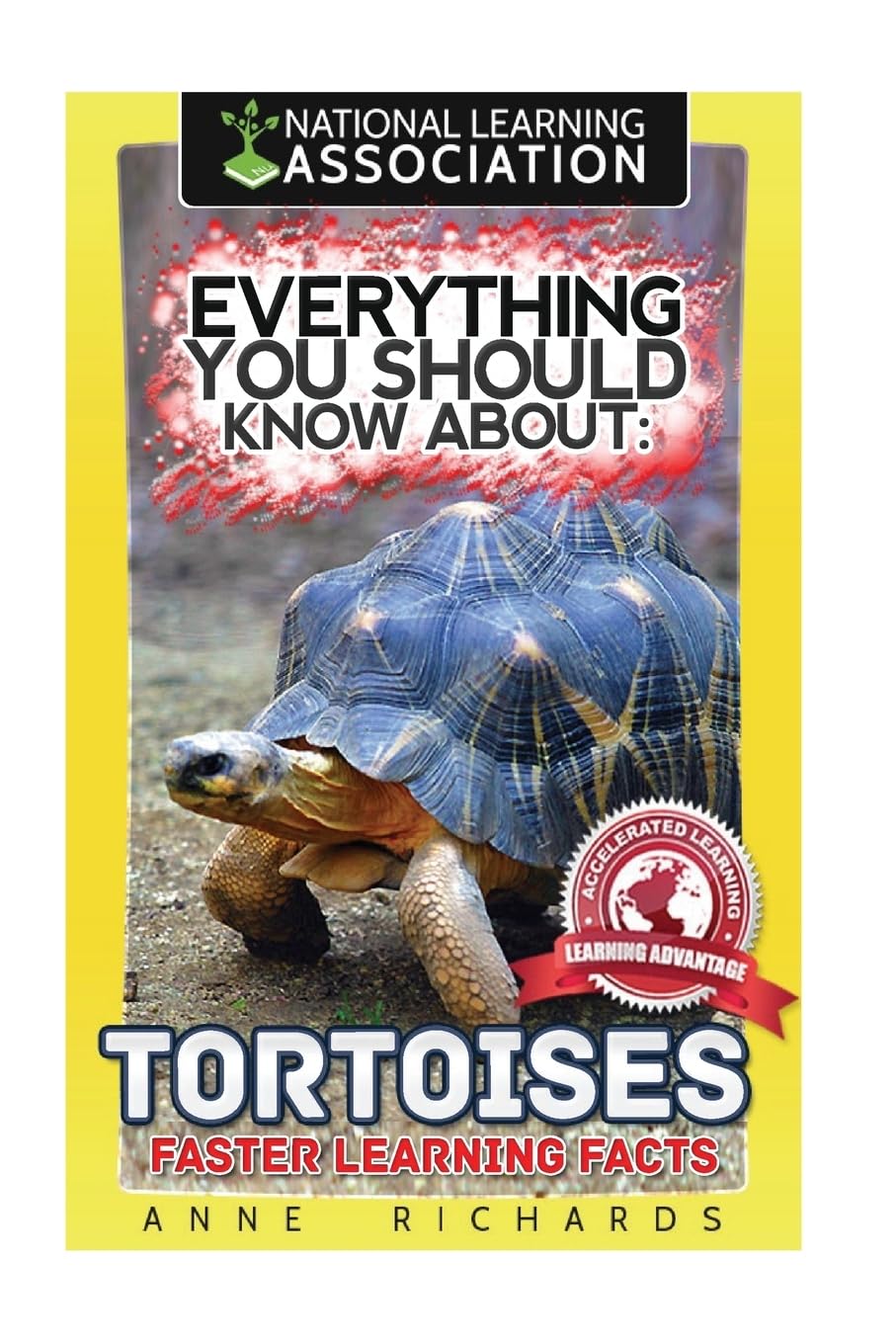 Everything You Should Know About: Tortoises Faster Learning Facts