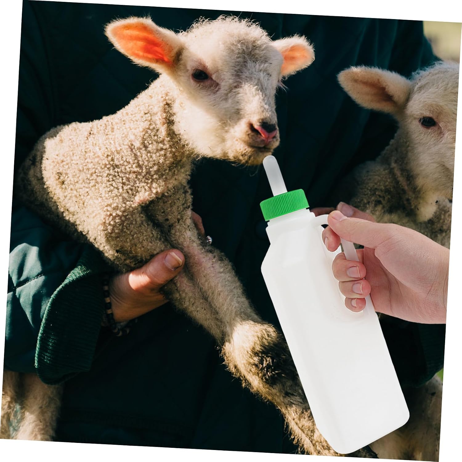 Kisangel 6pcs Lamb Feeding Nipples for Nursing Bottles Bite Pacifier for Sheep and Goat Milk Feeding Lightweight and Easy to Install Compatible with Goat Bottles