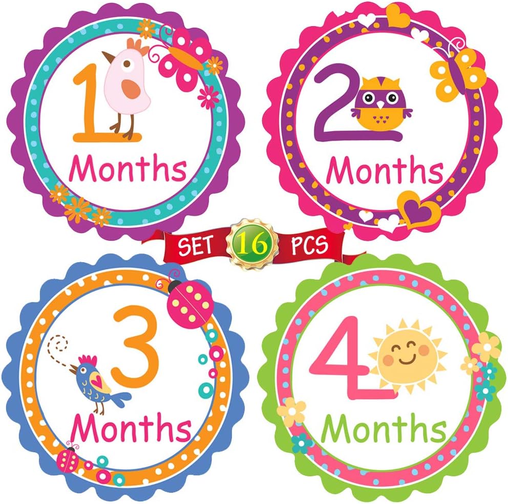 Baby Month by Month Stickers for Baby Girl & Boy | Unisex Milestone Stickers for Each Month [Set of 16]