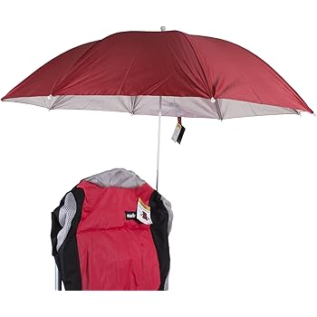 tommy bahama cooler chair