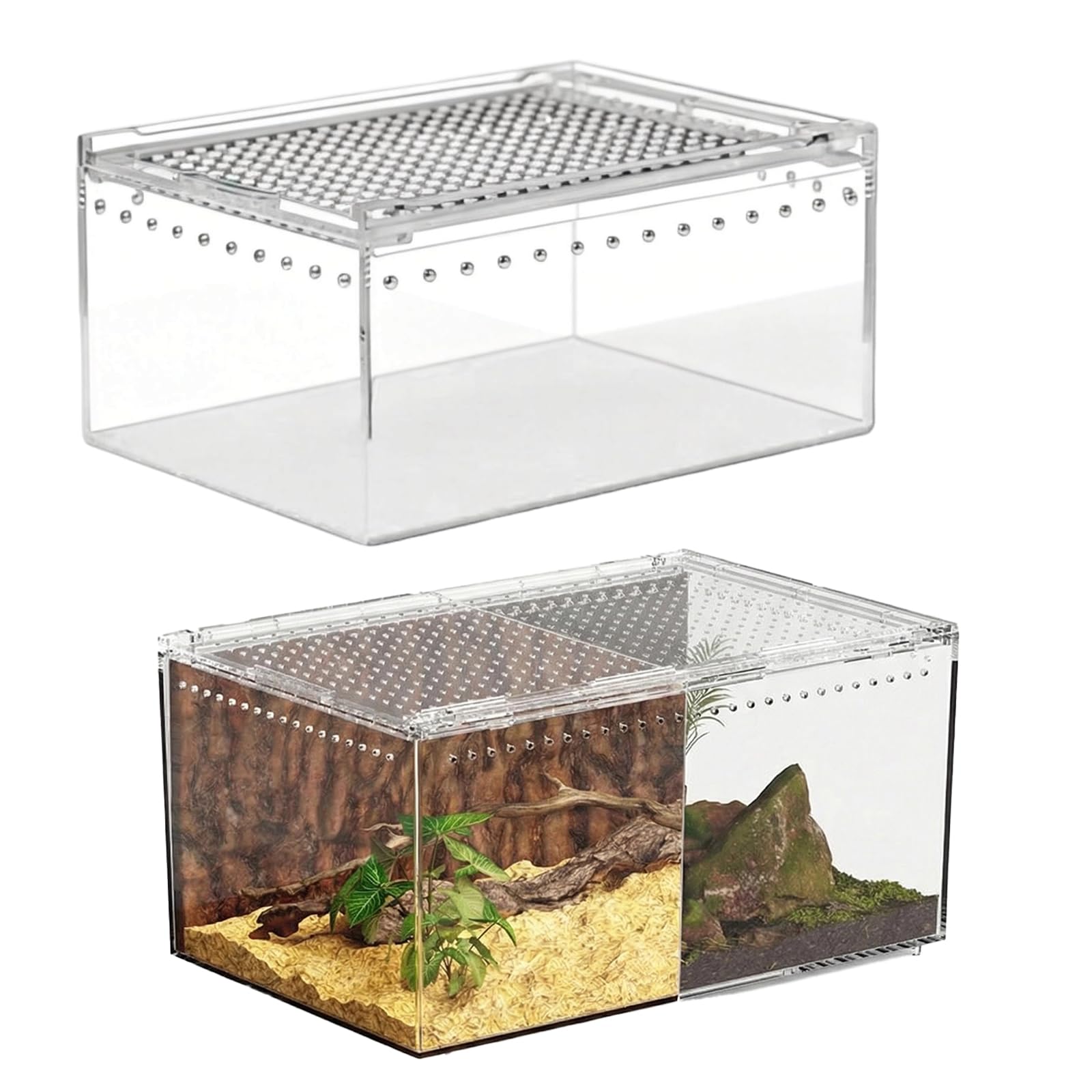 Boîte d'Élevage pour Araignées et Mantes - Lot de 2 Terrariums en Acrylique