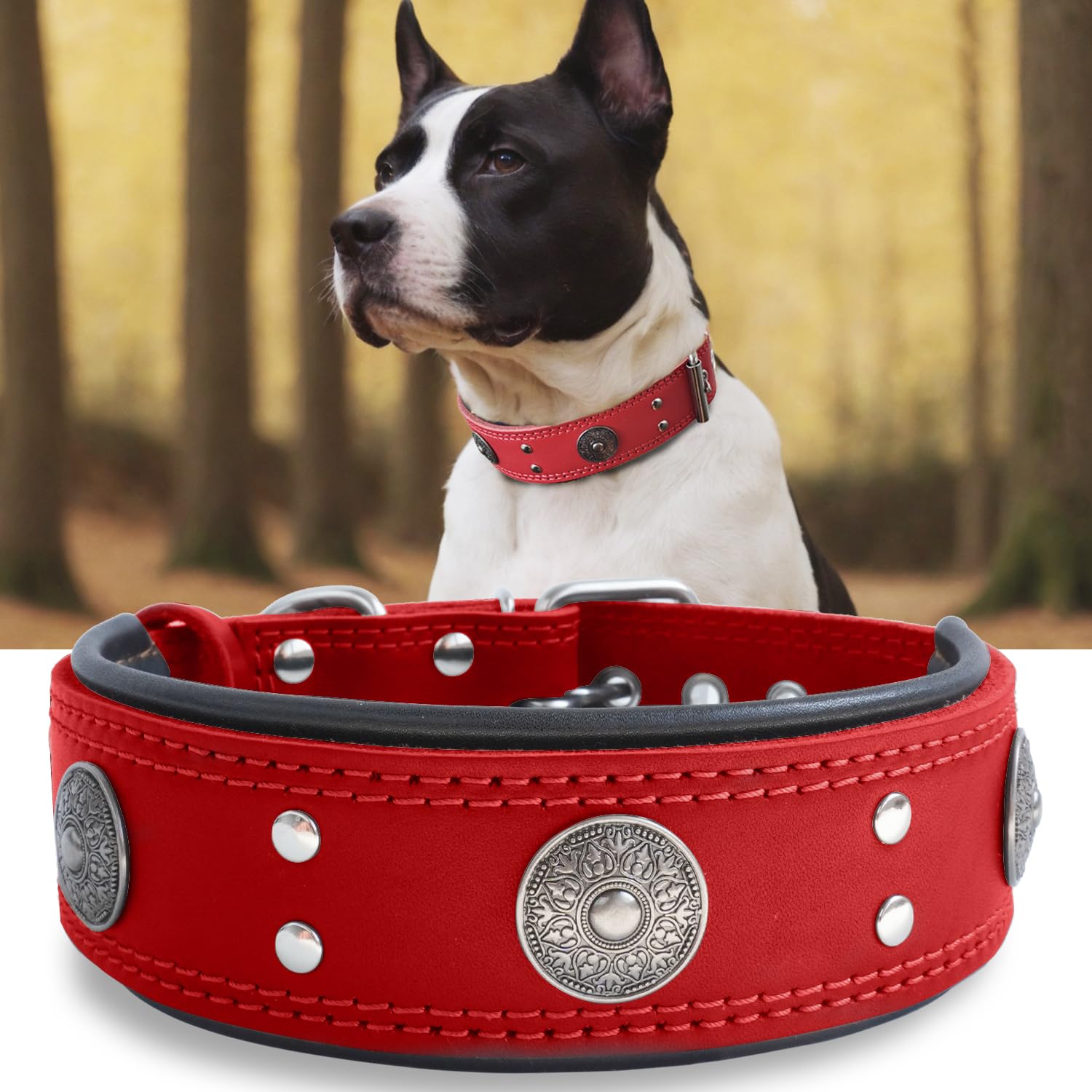 Leather Dog Collar, 2 inches Wide Heavy Duty Genuine Leather Collars, Handmade, Soft, and Luxury, Eye-catching Best Choice for Large and Medium Breed