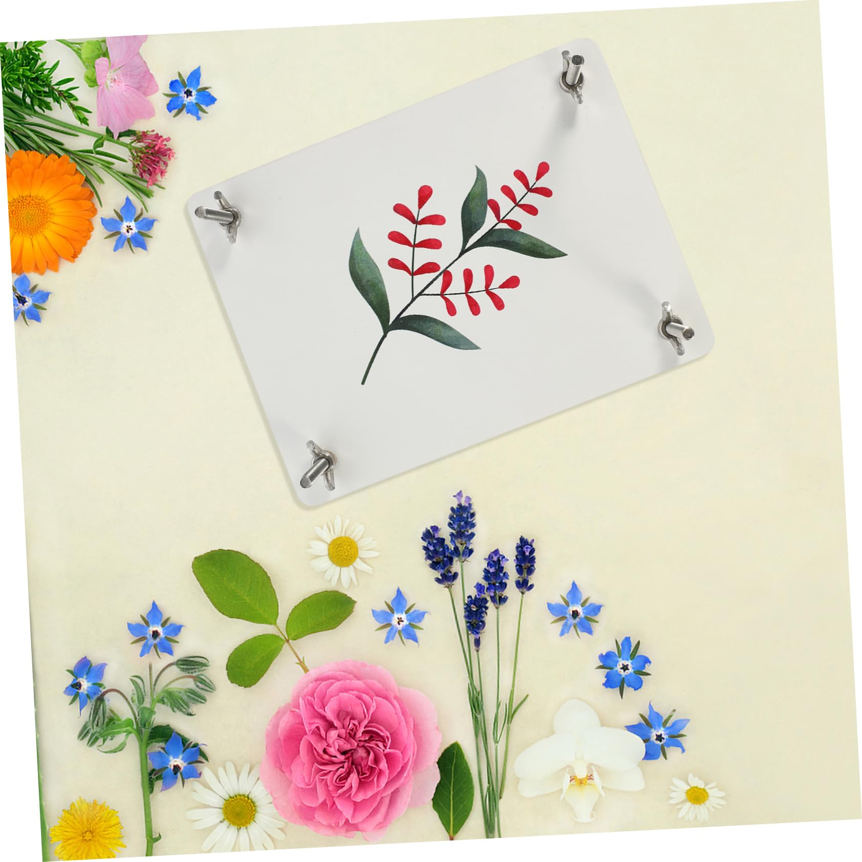 HAPINARY Blumenpress Satz Holz Klein mit Stabiler Platte Selbstgemacht Pflanzenpresse für Basteln Scrapbooking und Naturentdeckung