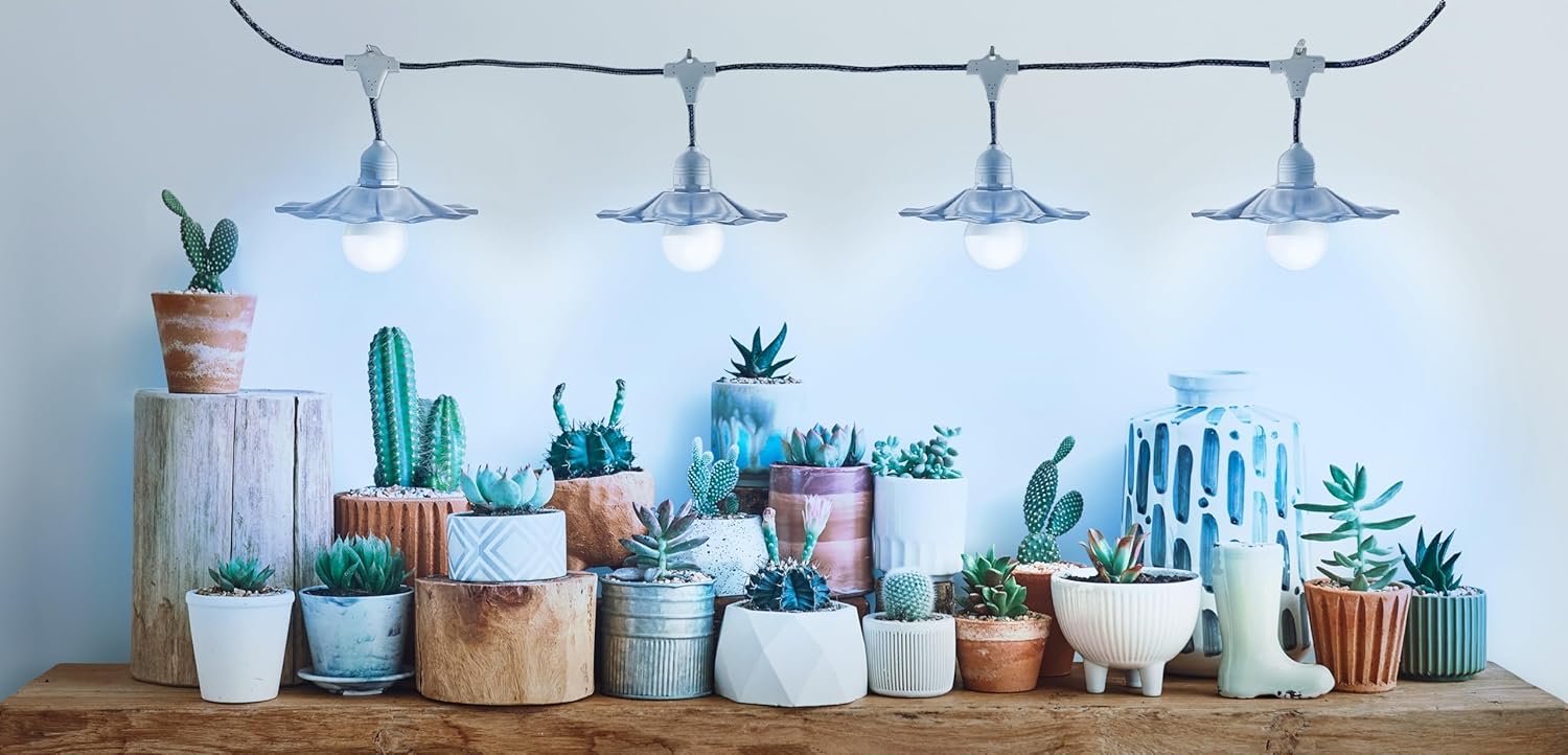 Miracle LED Greenhouse in a Box Designer Line Indoor Grow Kit - Includes 4 Absolute Daylight Blue Spectrum 100W Replacement Grow Bulbs, 1 4-Socket Plug-in Fixture with Silver Shade & Timer (8-Pack)