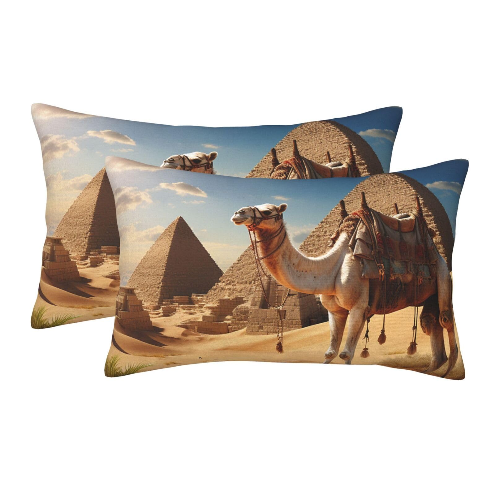 2 Pack Pillow Cases with Hidden Zipper, Soft Breathable Pillow Covers for Hair and Skin, Camel Desert Pillowcases 20"x30" Bed Pillow Protectors Cover for Sleeping Gifts