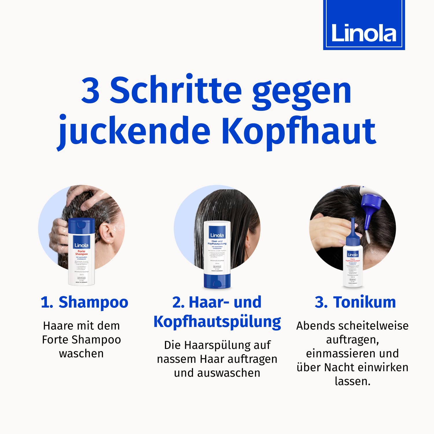 Linola Forte Shampoo 200 ml + Haar- und Kopfhautspülung 200 ml + Forte Kopfhaut-Tonikum 100 ml - Kopfhautpflege-Set bei juckender, trockener und schuppiger Kopfhaut
