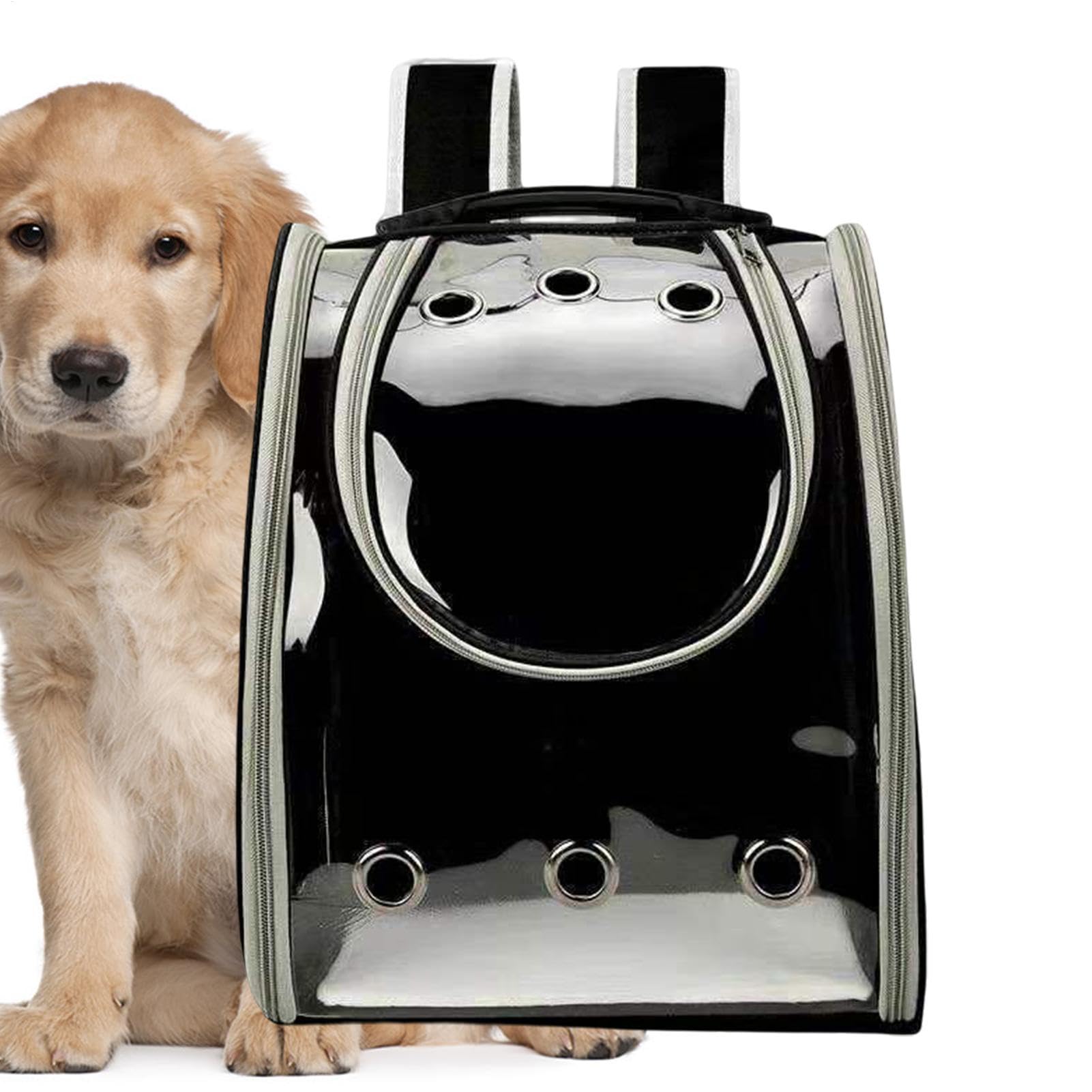Rucksack zum Wandern mit Katzen Atmungsaktives und transparentes