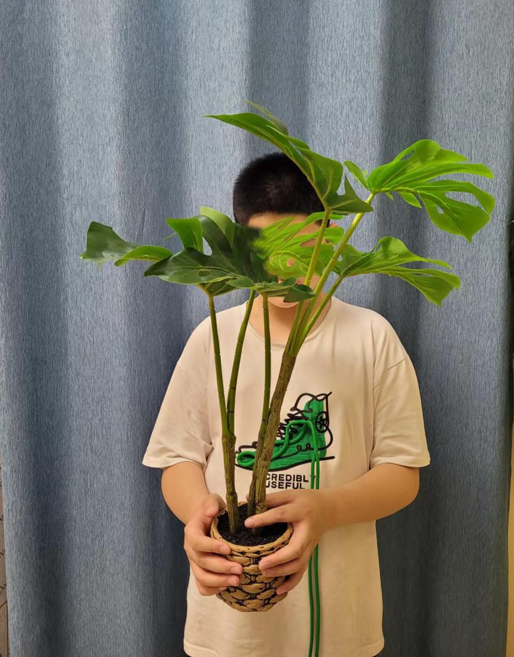 Amazon｜qinhome人工観葉植物 熱帯観葉樹 モンステラ 光触媒