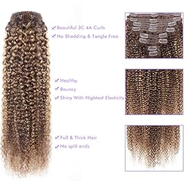 Curly Clip In Hair Extensions Real Human Hair Clip Ins Balayage Chocolate Brown to Caramel Blonde Human Hair Extensions 8Pcs with18clips 120g/Set (16 inch4/27/4)