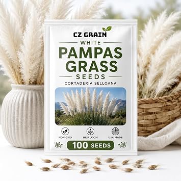 Giant White Pampas Grass Seeds - 100 Seeds