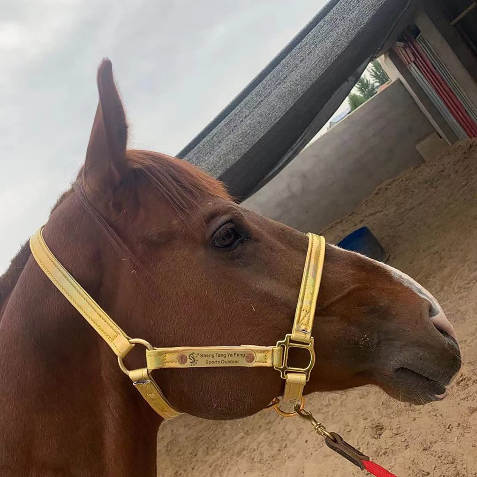 Soft and Comfortable Adjustable Horse Bridle Reins Head, Made From Premium Leather, Available In Multiple Color & Sizes,Soft To The Touch, Anti-wrinkle and Abrasion Resistance, Easy To Clean