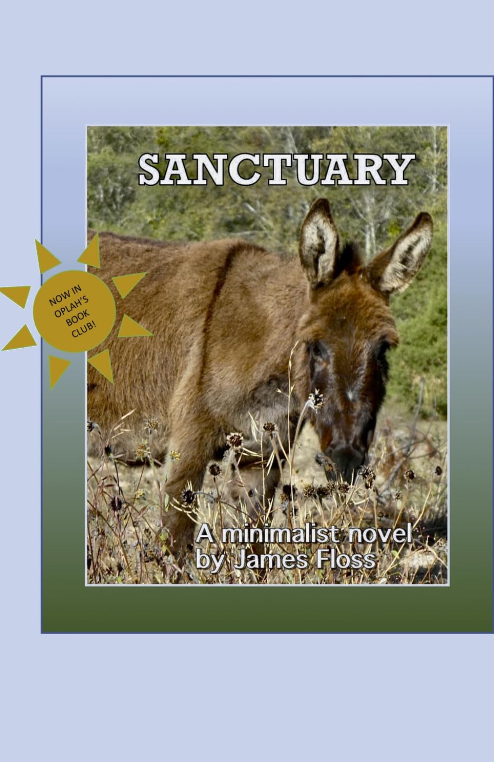 SANCTUARY: a minimalist novel