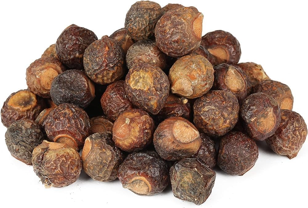 PL (250g) 8.81oz 100% Natural Reetha Soap Nuts – Aritha | Areetha | Kunkudukaialu | Whole Dried