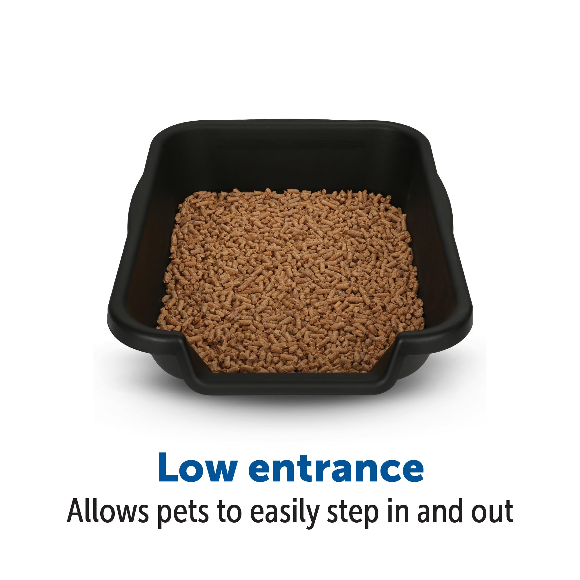 KittyGoHere Senior Cat Litter Box, Small Size, Black, Pet Safe Kitty Litter  Box, Low 3