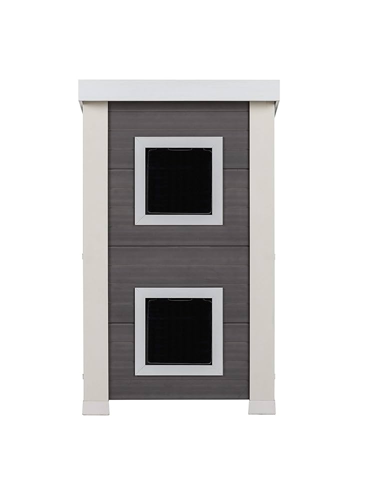 ハウス 原付 DIO 50cc 中古車