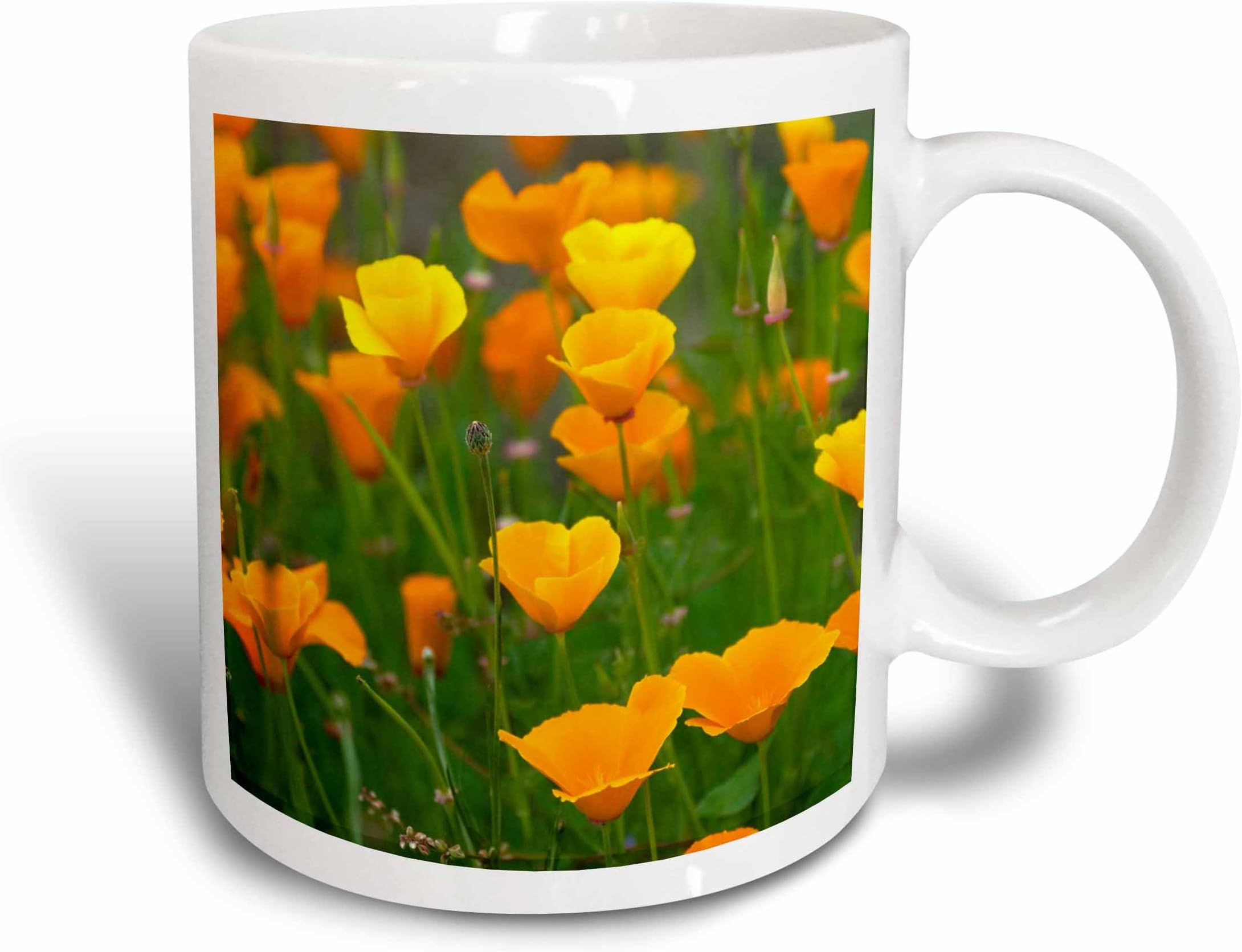 3dRose Field of California Poppy Flowers, Washington-Us48 Jda0094-Janell Davidson-Two Tone Mug, Ceramic, Red/White, 10.16 x 7.62 x 9.52 cm