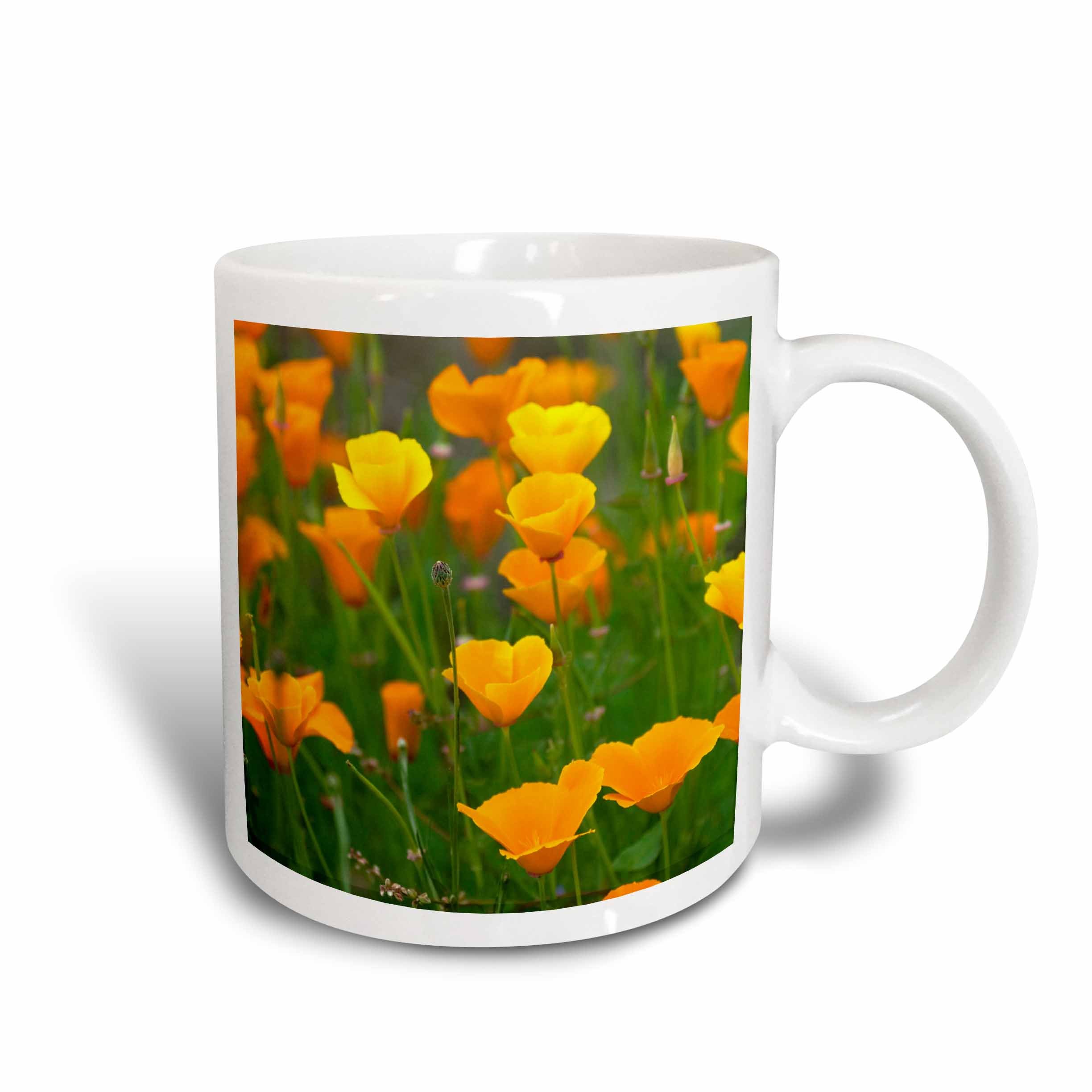 3dRose Field of California Poppy Flowers, Washington-Us48 Jda0094-Janell Davidson-Two Tone Mug, Ceramic, Red/White, 10.16 x 7.62 x 9.52 cm