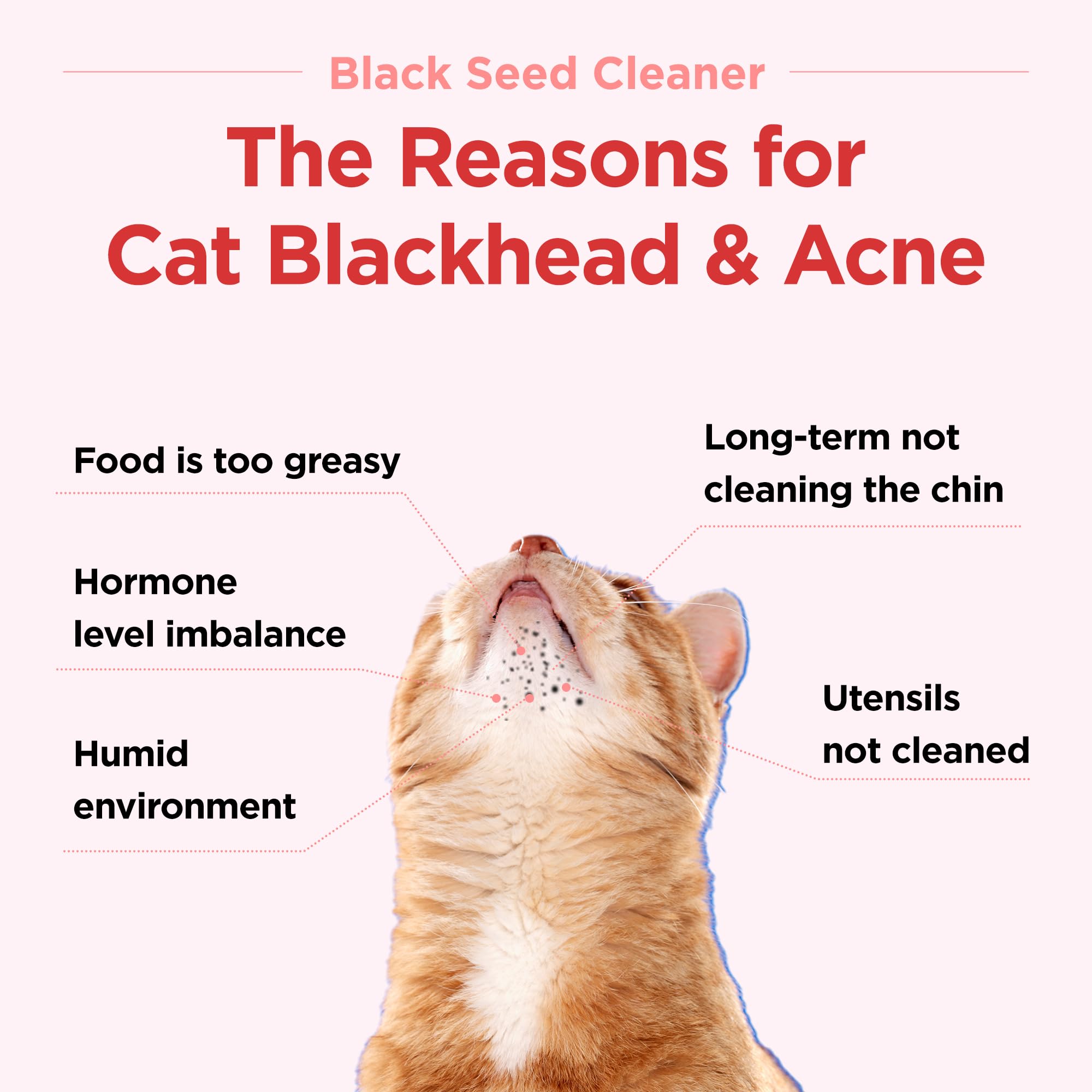 JAYU PET Black Seed Cleaner - Cat Chin Acne Treatment, Non-Toxic Hypoallergenic Cleanser, Cat Acne Chin Treatment, Remove Cat Chin Blackheads, Improves Skin Health 2.7 fl.oz (80ml) - image 3