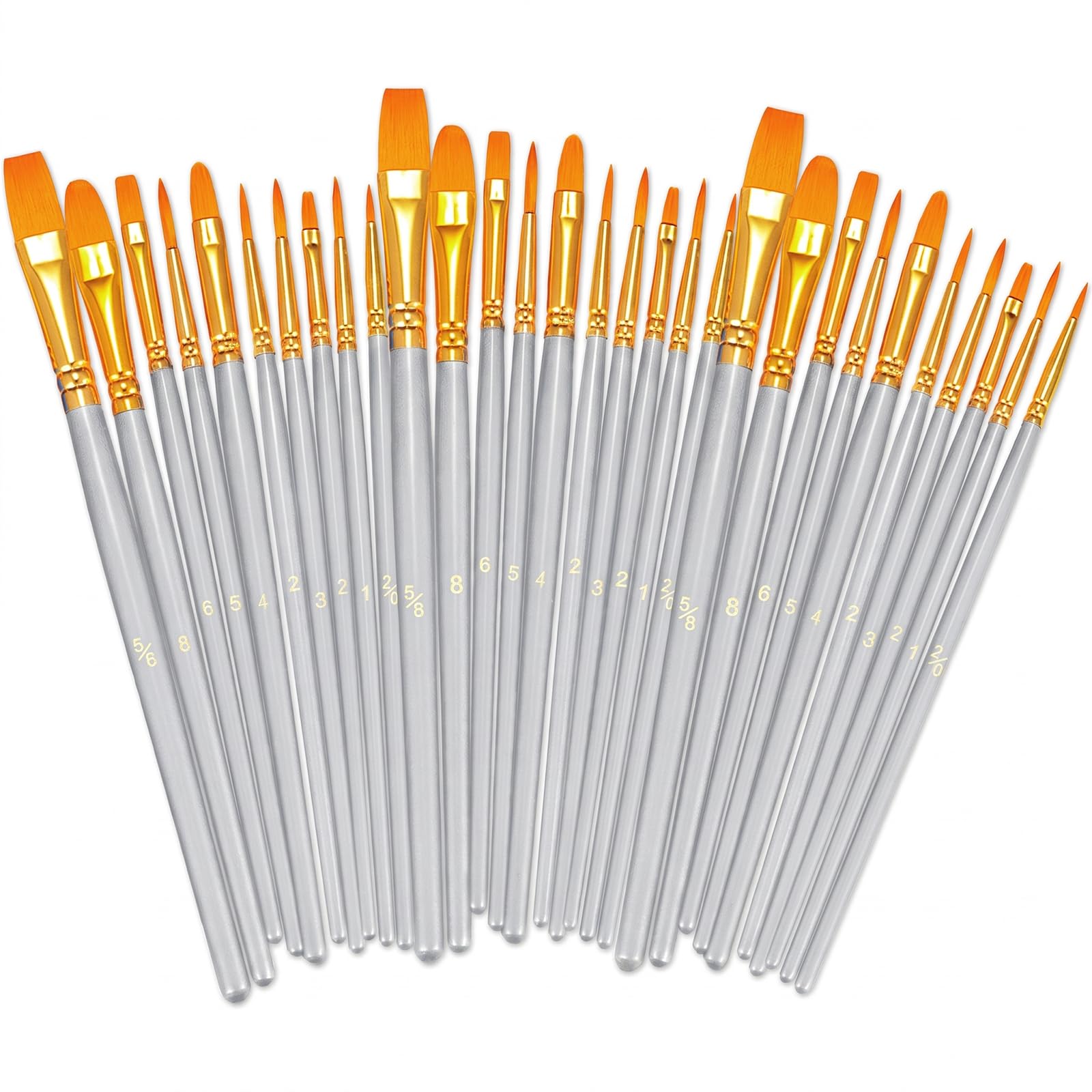 BOSOBO Assorted Nylon Acrylic Artist Paint Brushes Set,Silver,30 Pcs