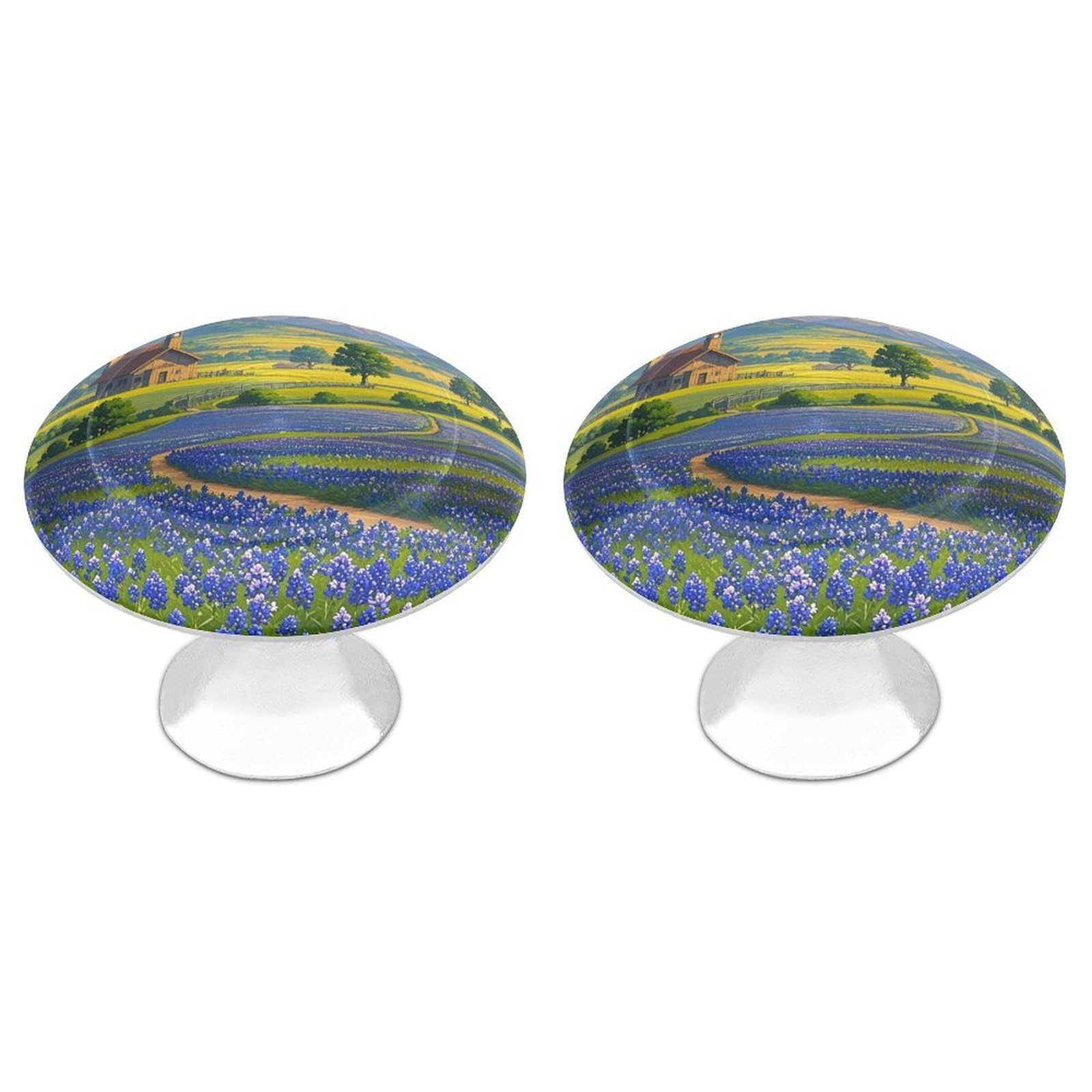 FekiLoot Texas Bluebonnets Scenery Cabinet Knobs Simple Drawer Handles Aluminum Alloy Kitchen Pulls Round Cabinet Door Knobs with Screw Door Hardware for Dresser Cabinets 2 Pack