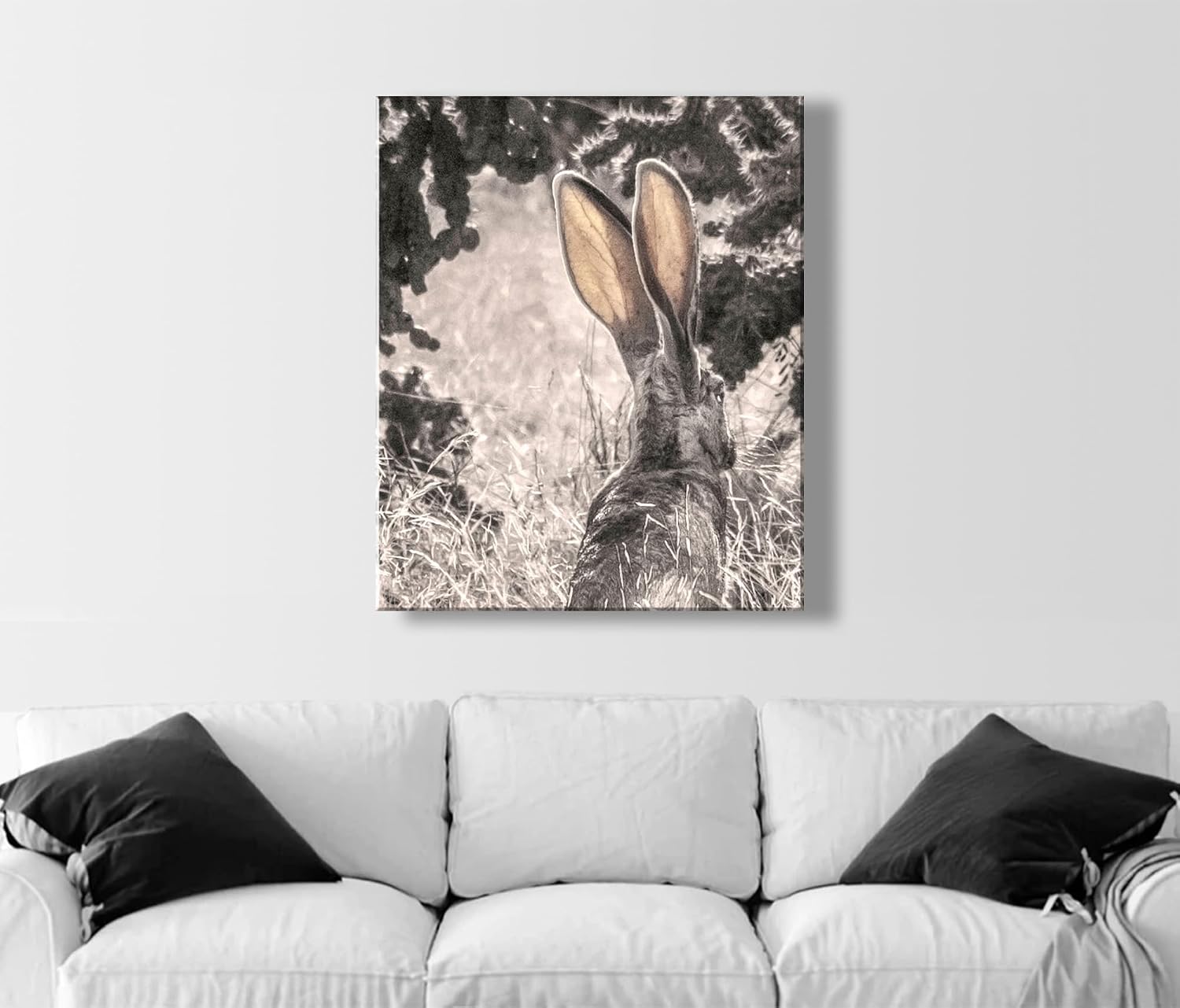 Desert Jackrabbit Art Print | Tucson Arizona Wildlife Photograph with Cholla Cactus