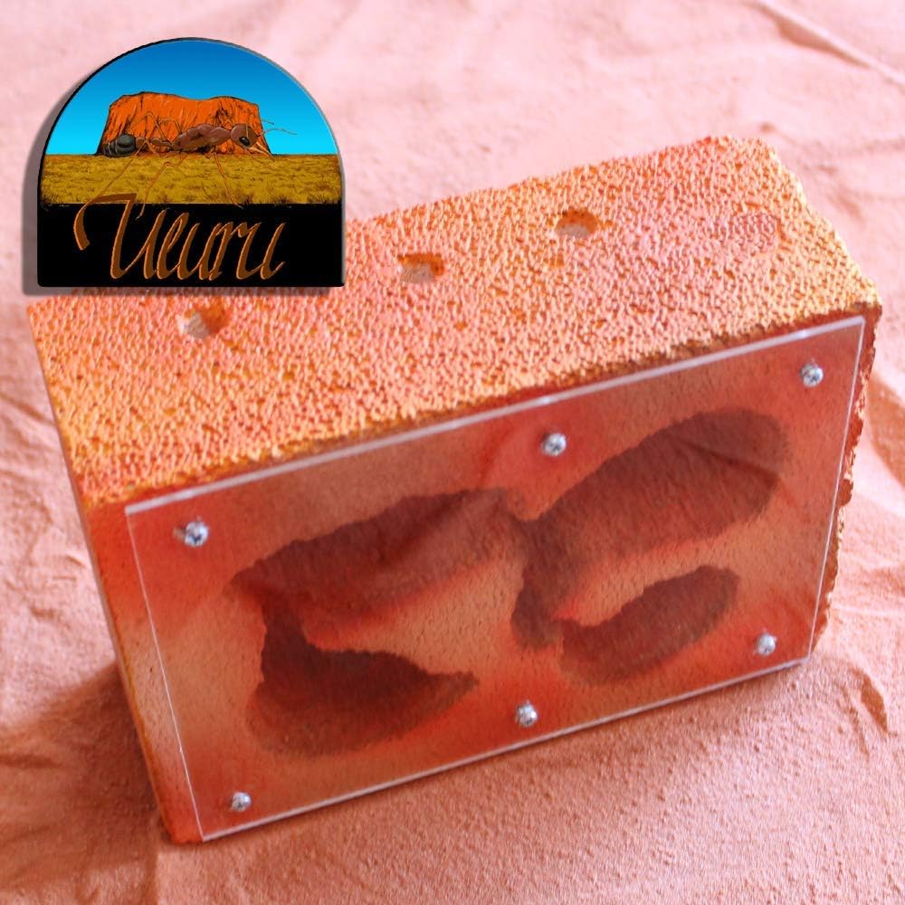 ANT NEST | Nest stone "Uluru" (Size L)