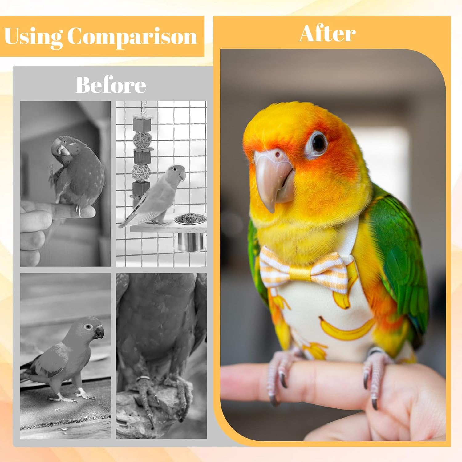 6Pcs Bird Diaper - Reusable Parrot Diapers with Waterproof Inner (Medium)