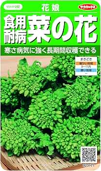 Amazon | サカタのタネ 食用耐病菜の花 花娘 | 野菜