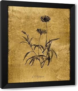 ArtDirect Gold Sketch Botanical I Custom Framed Art Print Giclee Print or Canvas Options with Various Sizes and Customization by Donovan, Kelly