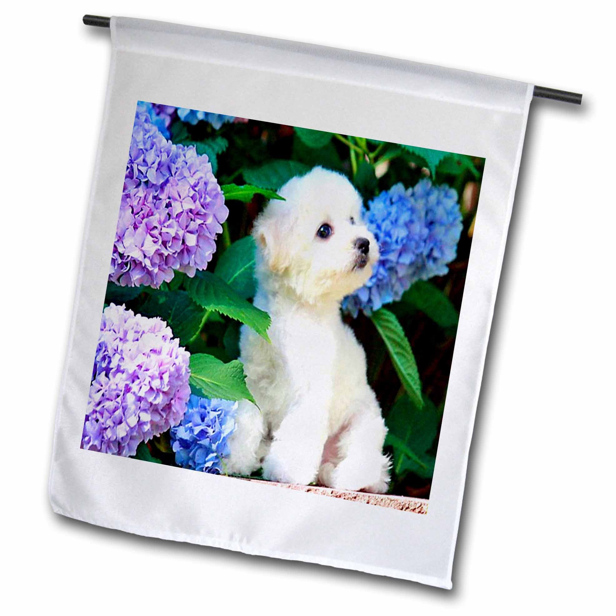 3dRose Bichon Frisé Welpen Flagge – 30,5 X 45,7 Cm, Polyester, Einseitig Bedruckt