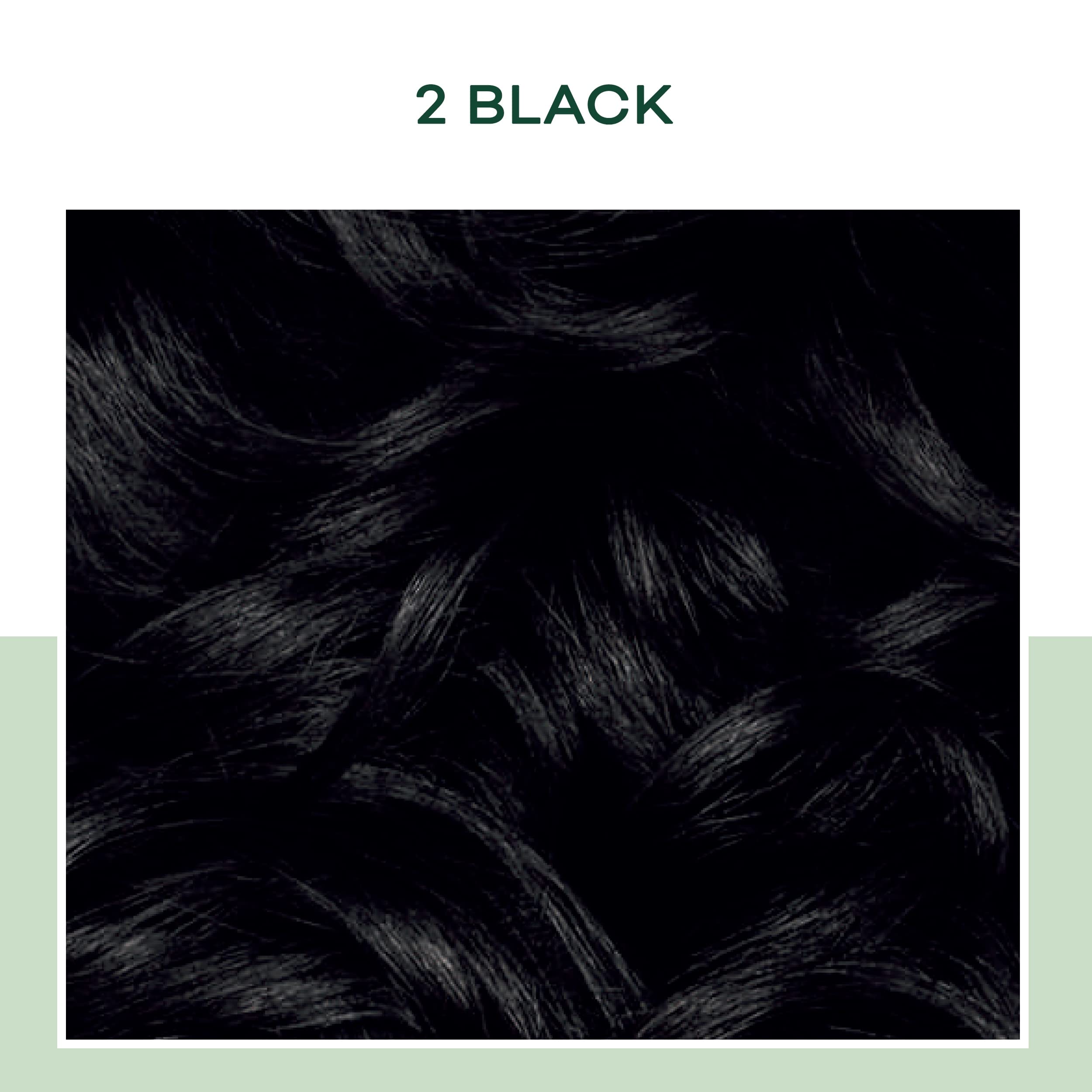 Buy Clairol Natural Instincts DemiPermanent Hair Dye, 2 Black Hair Color, Pack of 3 Online at