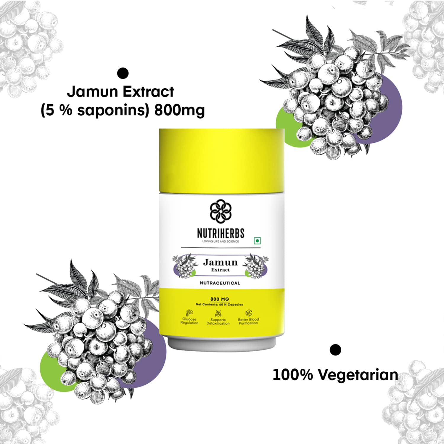 NUTRiHERBS Jamun Seed Extract Capsules 800mg | Herbal Supplement for Diabetes Management | Ayurvedic Sugar Control & Digestive Health Support | Natural Blood Sugar Balancing & Metabolic Wellness - Image 5 thumbnail