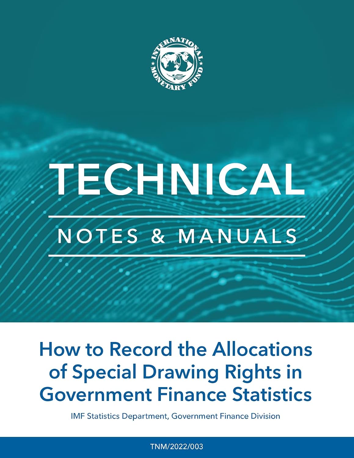 How to Record the Allocations of Special Drawing Rights in