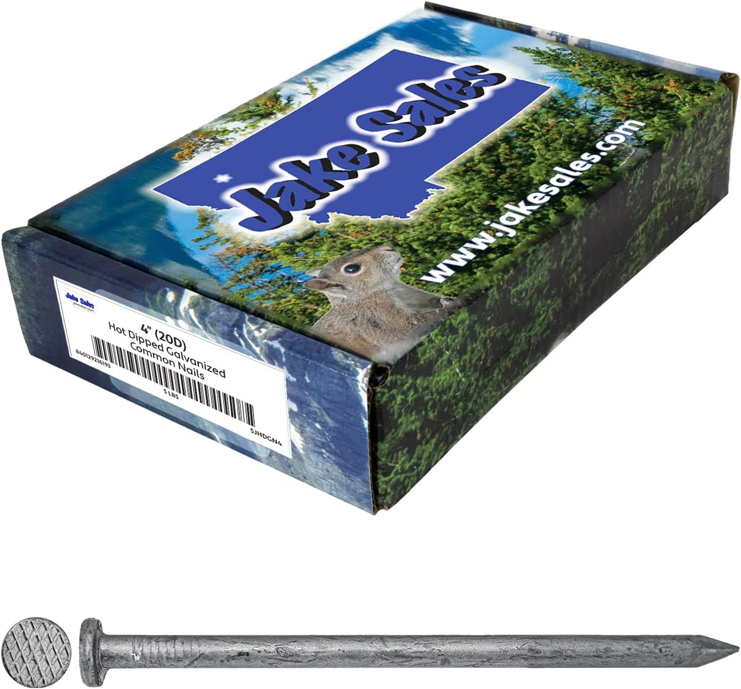 4" Exterior Hot Dipped Galvanized Common Framing Nail (20d) 5 Pound Box ~90 Nails