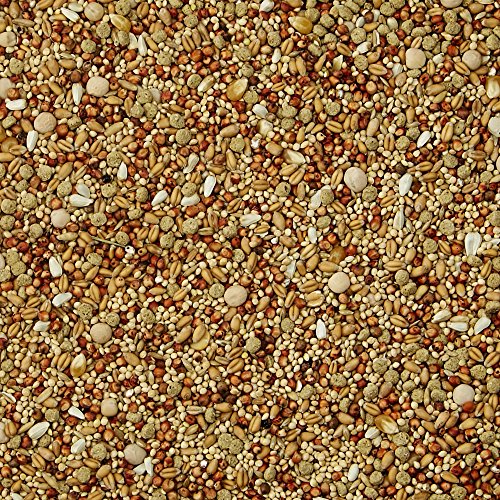 Kaytee Supreme Dove Food 5 pounds - Thumbnail 3