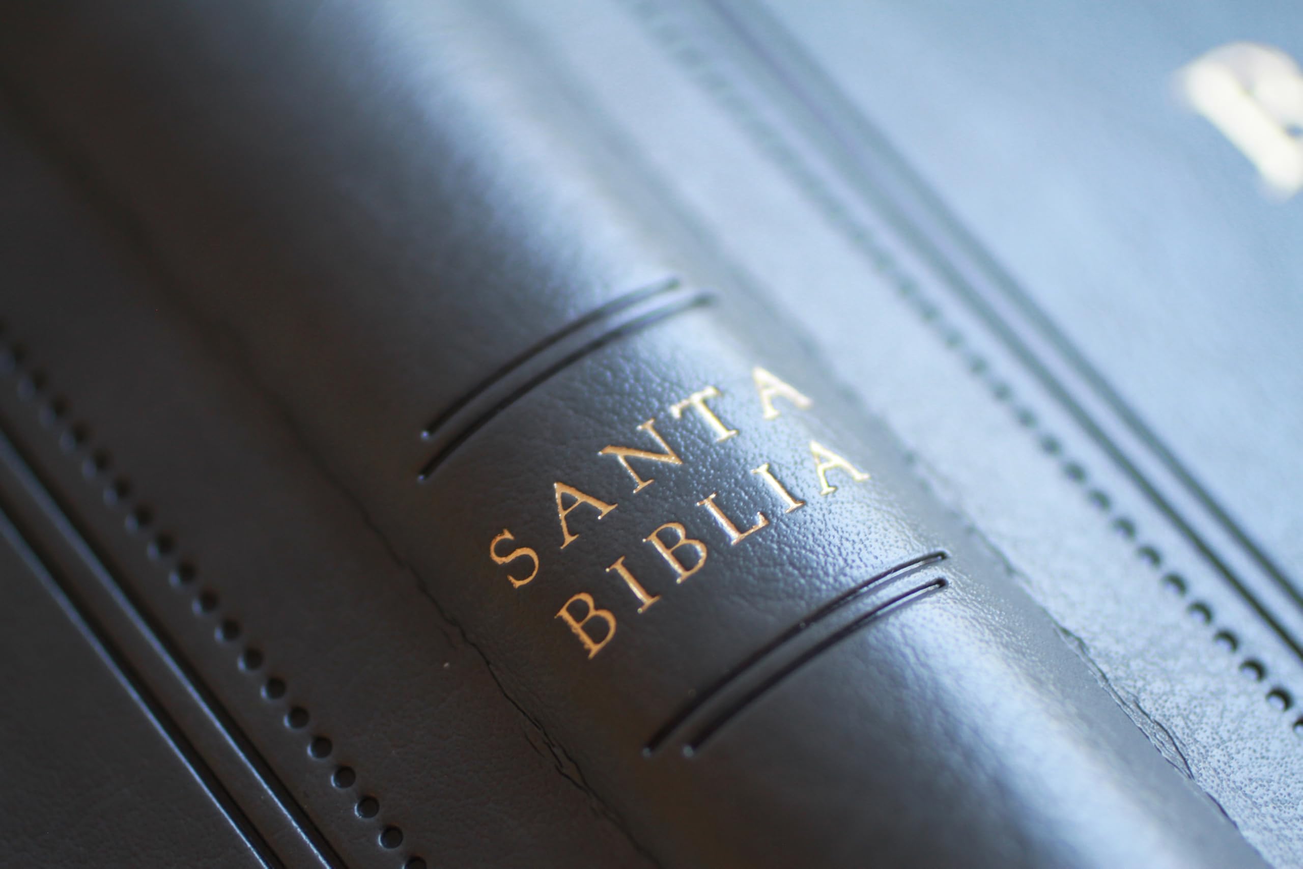 Biblia RVR 1960 letra grande tamaño manual, Piel gris con índice / Spanish Bible RVR 1960 Handy Size Large Print Leathersoft Gray with index