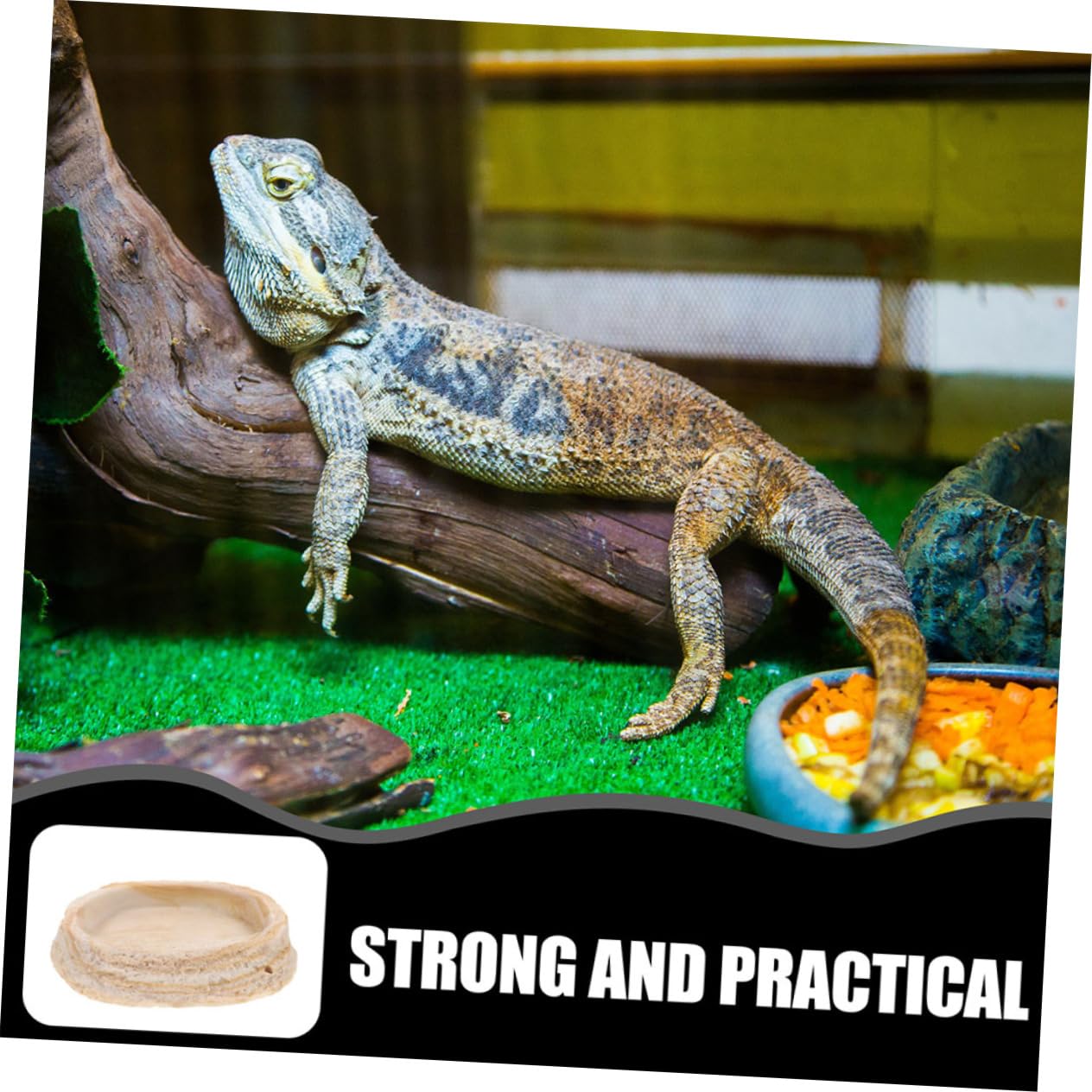 2 Cuencos de Resina para Reptiles, Diseño y Borde Antivuelco, para Reptiles y Ranas en Terrario