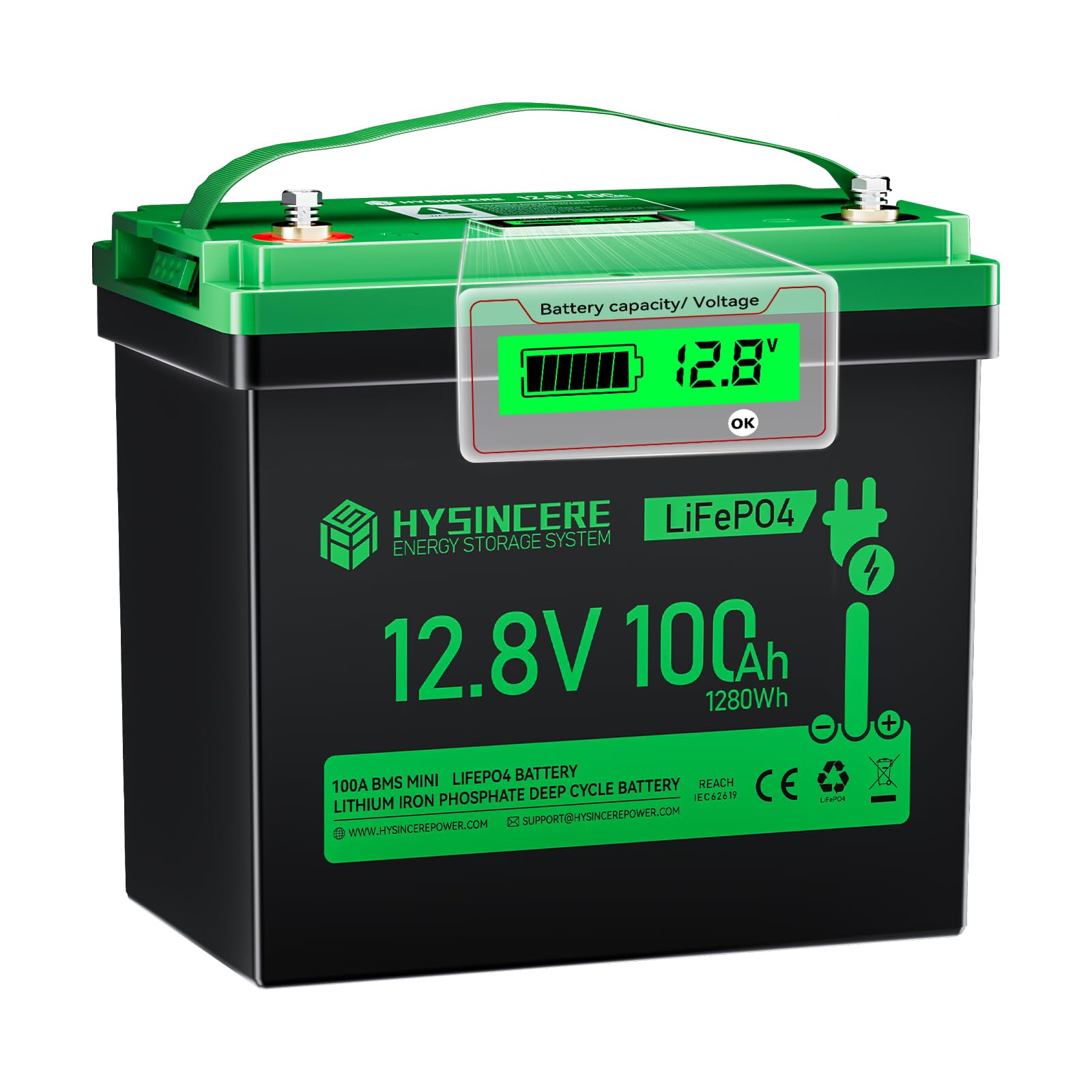 12 V, 100 Ah LiFePO4 MINI Batteria al Litio con LED, Massimo 15000 Cicli e BMS Intelligente da 100 A, Accumulatore a Ciclo Profondo da 12 Volt 1280 Wh Ricaricabile per Camper, Campeggio