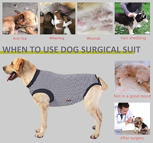 Vista 21 de Traje de recuperación de cirugía para perro, traje de recuperación quirúrgica para perro, macho y hembra, camisa esterilizada para poscirugía, cono