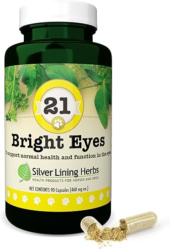 Silver Lining Herbs 21 ojos brillantes - Apoya la salud de los ojos del perro - Mantiene los niveles normales de minerales para los ojos del perro -